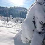 Chalé Ecottage для двох у горах із чаном-джакузі Slavske