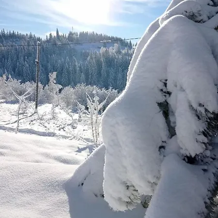 Chalet Ecottage для двох у горах із чаном-джакузі Slavske