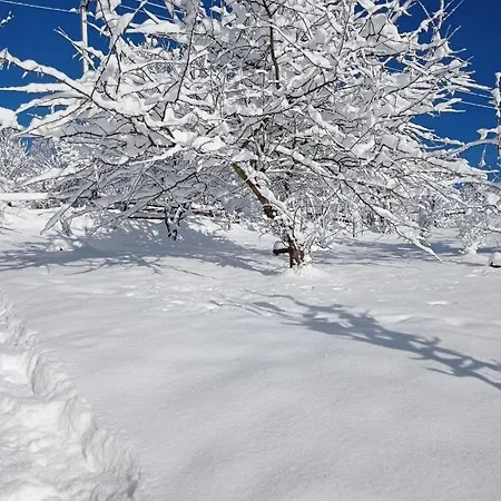 Ecottage для двох у горах із чаном-джакузі Domek alpejski