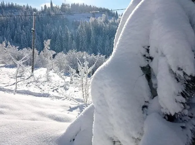 בקתה Ecottage для двох у горах із чаном-джакузі סלאבסקה