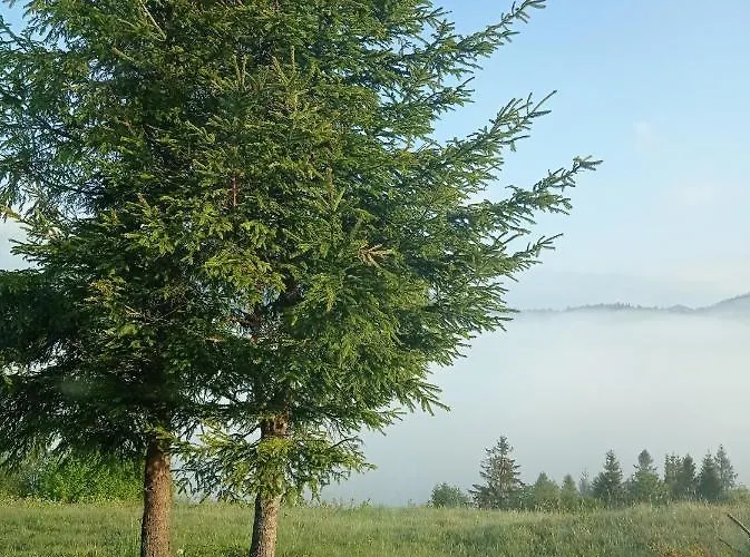 בקתה Ecottage для двох у горах із чаном-джакузі *